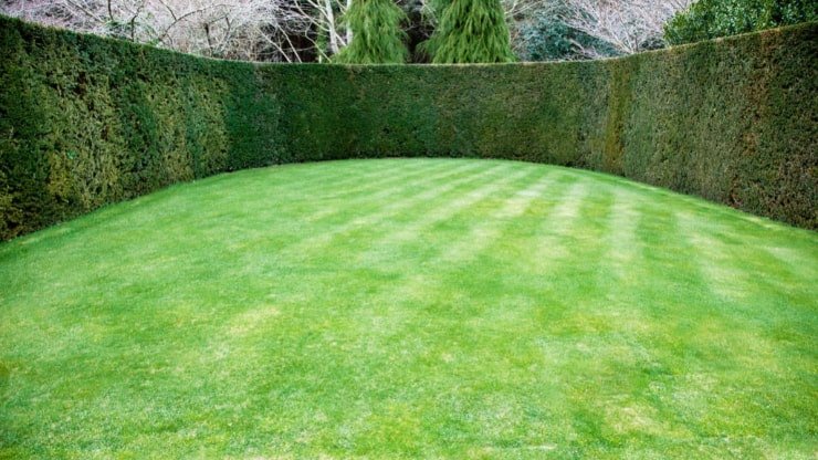 Best Hedge Trimer